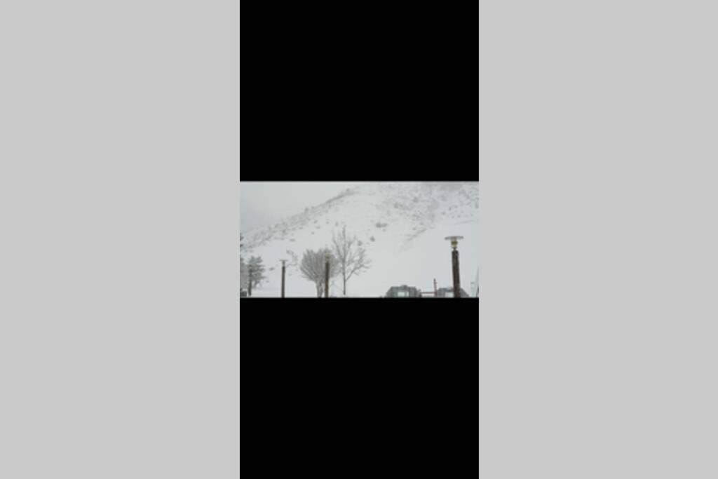 Appartement Refait A Neuf Ski Pied Des Pistes A Val Louron Génos エクステリア 写真