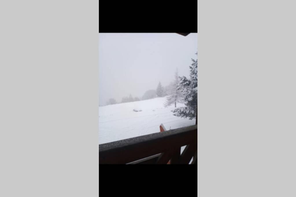 Appartement Refait A Neuf Ski Pied Des Pistes A Val Louron Génos エクステリア 写真